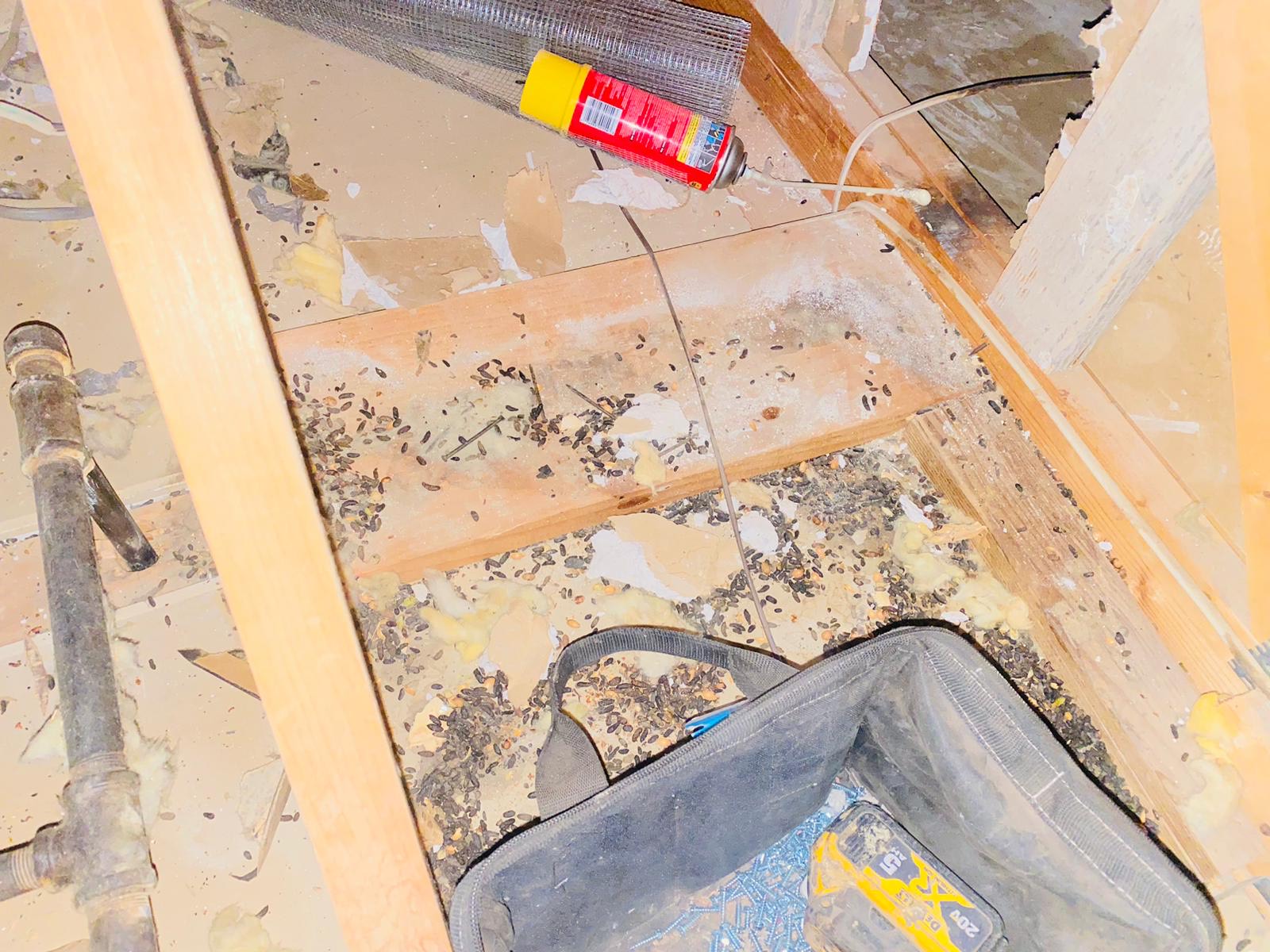 Disinfected and sealed crawl space