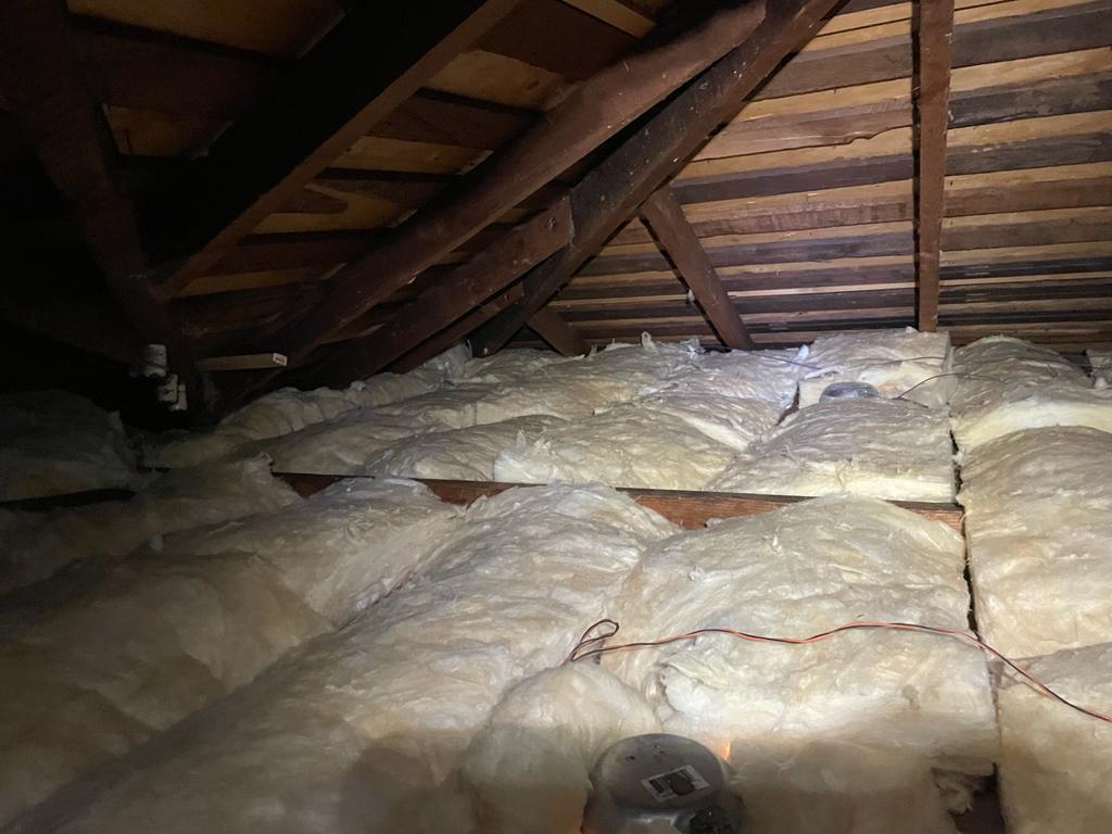 attic-clean-up-re-insulation-and-rodent-proofing-03-04-2023-911